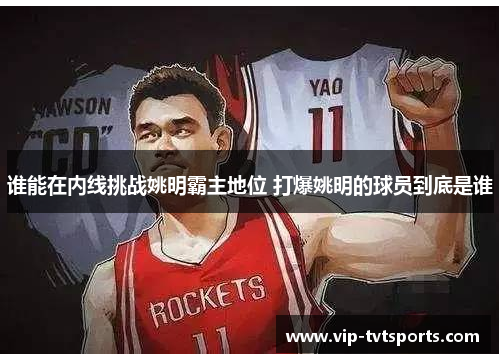谁能在内线挑战姚明霸主地位 打爆姚明的球员到底是谁