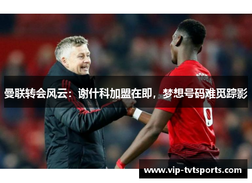 曼联转会风云：谢什科加盟在即，梦想号码难觅踪影